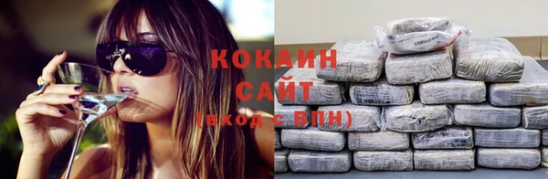молекула духа Белоозёрский