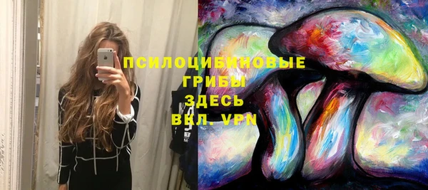 прущая мука Белокуриха