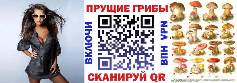 Галлюциногенные грибы прущие грибы  купить наркотики сайты  hydra рабочий сайт  Ветлуга 
